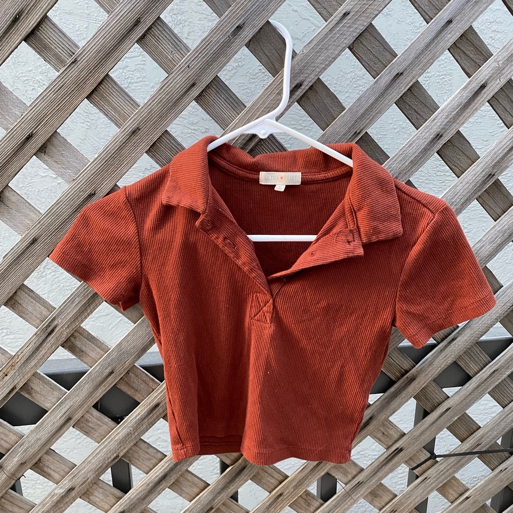 Brown Collared Baby Tee Crop Top